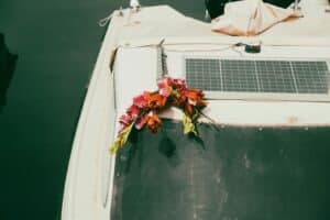 Catch More Fish with Top Radar Apps