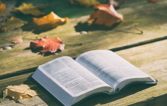 Top Apps for Reading the Bible Daily